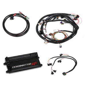 HOLLEY EFI DOMINATOR EFI KIT UNIVERSAL MAIN HARNESS WITH EV1 INJECTOR HARNESS