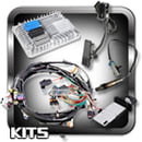 Ecotec Wiring Harnesses With ECU Kits