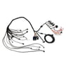 CBM MOTORSPORTS™ COMPLETE STANDALONE WIRING HARNESS FOR 2013-2021 GEN III 2.0L ECOTEC LTG WITH E39 OEM ECU