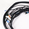 CBM MOTORSPORTS™ LS SERIES STANDALONE WIRING HARNESS FOR GEN IV LS USING A 24x E40 OEM ECU