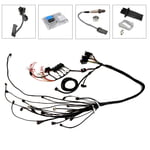 Alloytec Wiring Harnesses With ECU CBM MOTORSPORTS™ COMPLETE STANDALONE WIRING HARNESS FOR 2012-2019 3.6L ALLOYTEC LFX WITH E39 OEM ECU