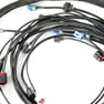 CBM MOTORSPORTS™ STANDALONE WIRING HARNESS FOR 2014-2018 GEN V 5.3L/6.2L LT1 USING A 58x E92 OEM ECU