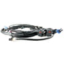 CBM MOTORSPORTS™ LS SERIES STANDALONE WIRING HARNESS FOR GEN IV LS USING A 58x E38 OEM ECU